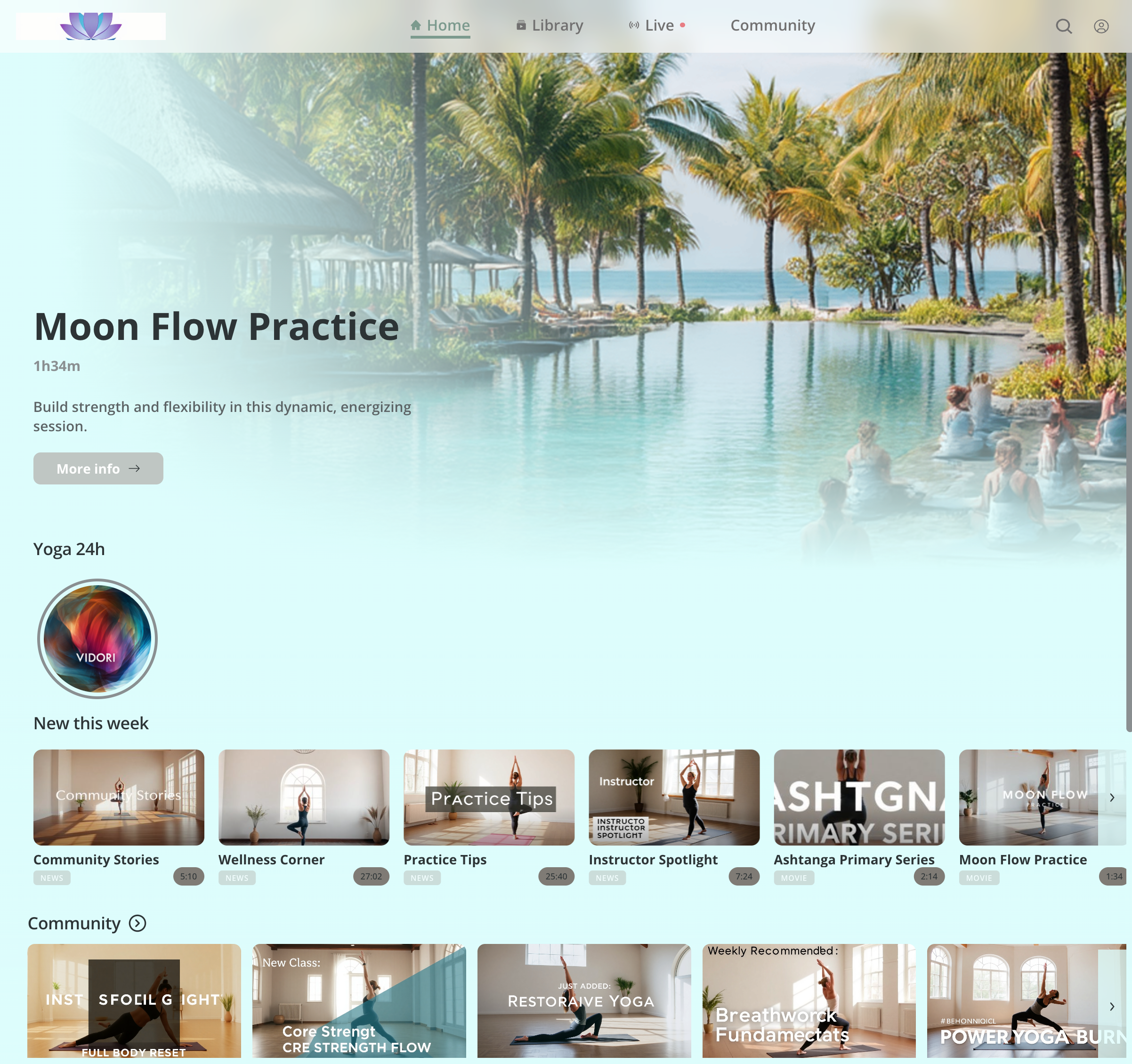 Streaming platform preview